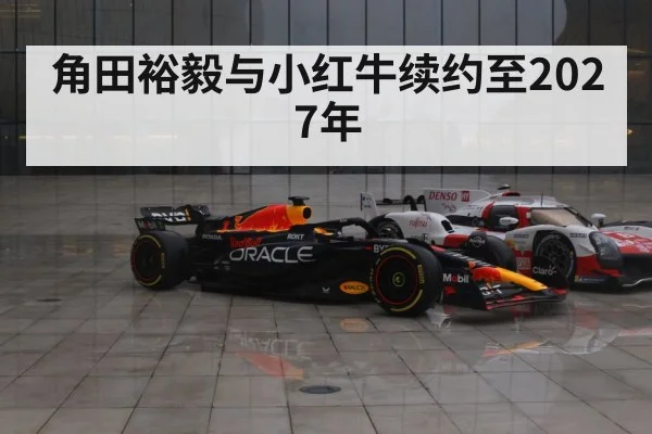 Red Bull Racing F1 car（jiuyouhui）